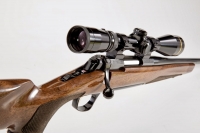 Fucili / Carabine canna rigata