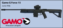 Gamo G Force 15